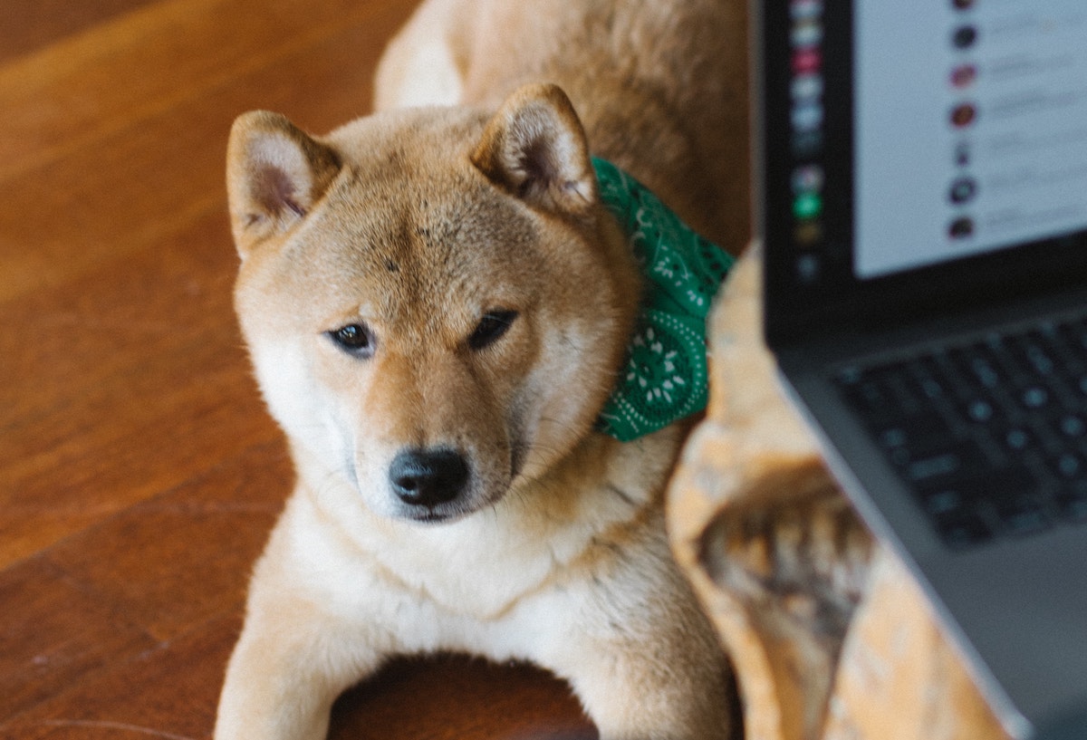 What Are the Conveniences of Accepting Crypto Settlements as a Freelancer?