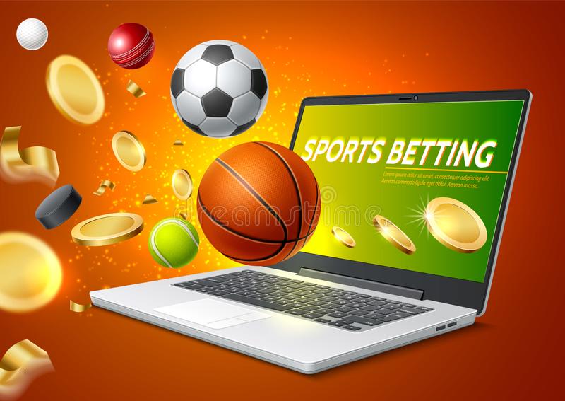 Everything You Need to Know About Online Bingo 13 Everything You Need to Know About Online Bingo 13