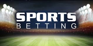 Everything You Need to Know About 24j bet 14