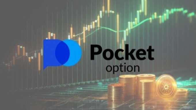 Exploring the Pocket Option Platform A Comprehensive Guide