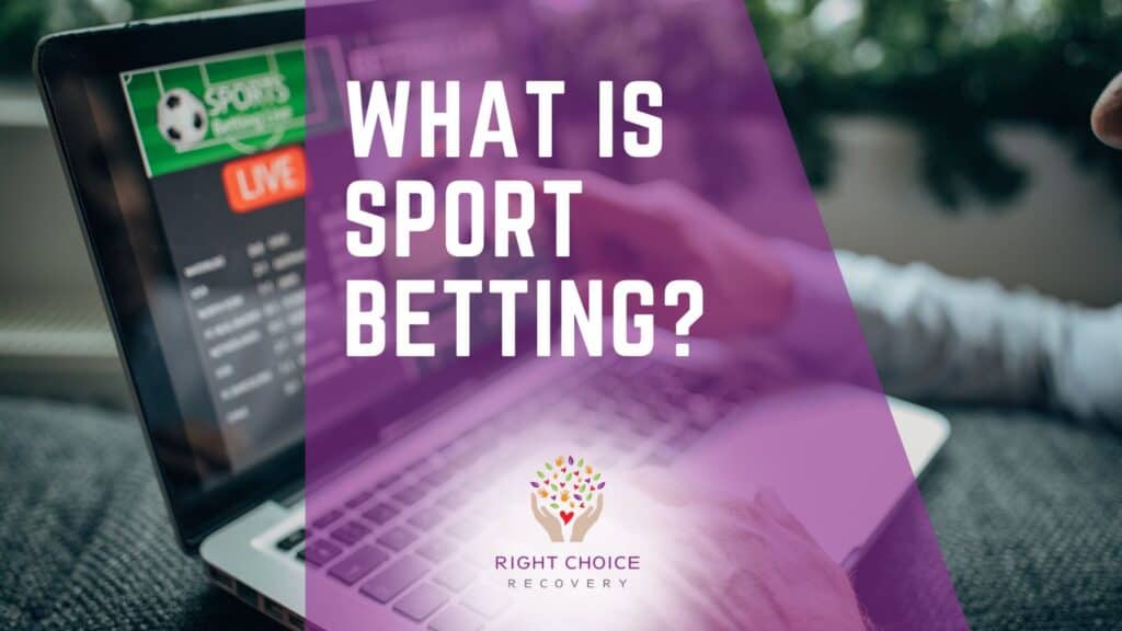 Live Casino Providers to Watch Live Casino Providers to Watch